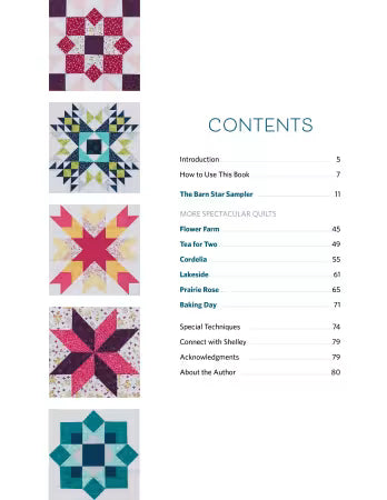 Barn Star Sampler Softcover Book by Shelley Cavanna