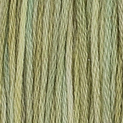 M6 Privet (2 variations) - The Needle & Thread Emporium