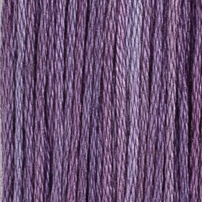 M63 Clematis (2 variations) - The Needle & Thread Emporium