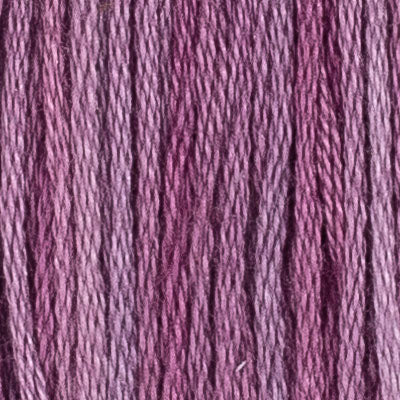 M63 Clematis (2 variations) - The Needle & Thread Emporium