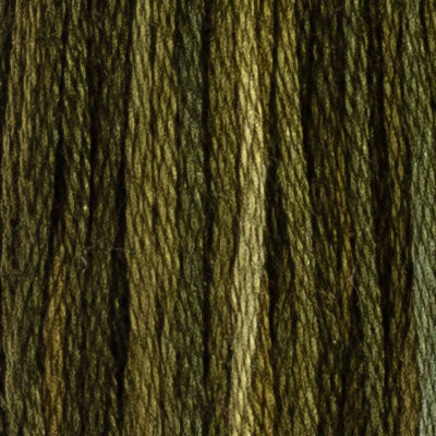 M71 Foxtail Fern (2 variations) - The Needle & Thread Emporium