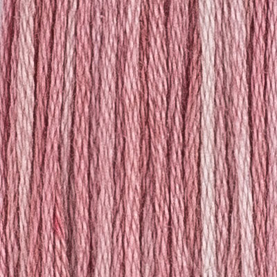M81 Clarkia (2 variations) - The Needle & Thread Emporium