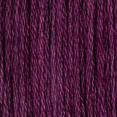 M19 Aster (2 variations) - The Needle & Thread Emporium