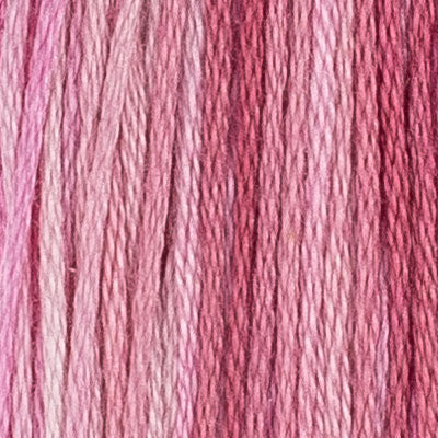 M35 Camellia (2 variations) - The Needle & Thread Emporium