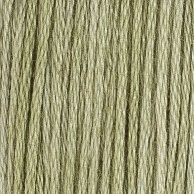 M50 Cypress (2 variations) - The Needle & Thread Emporium