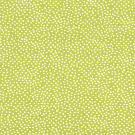FERN - Garden Pindot Collection by Michael Miller