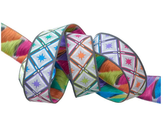 Stargazer in Storm - 7/8" wide Renaissance Ribbon - Tula Pink