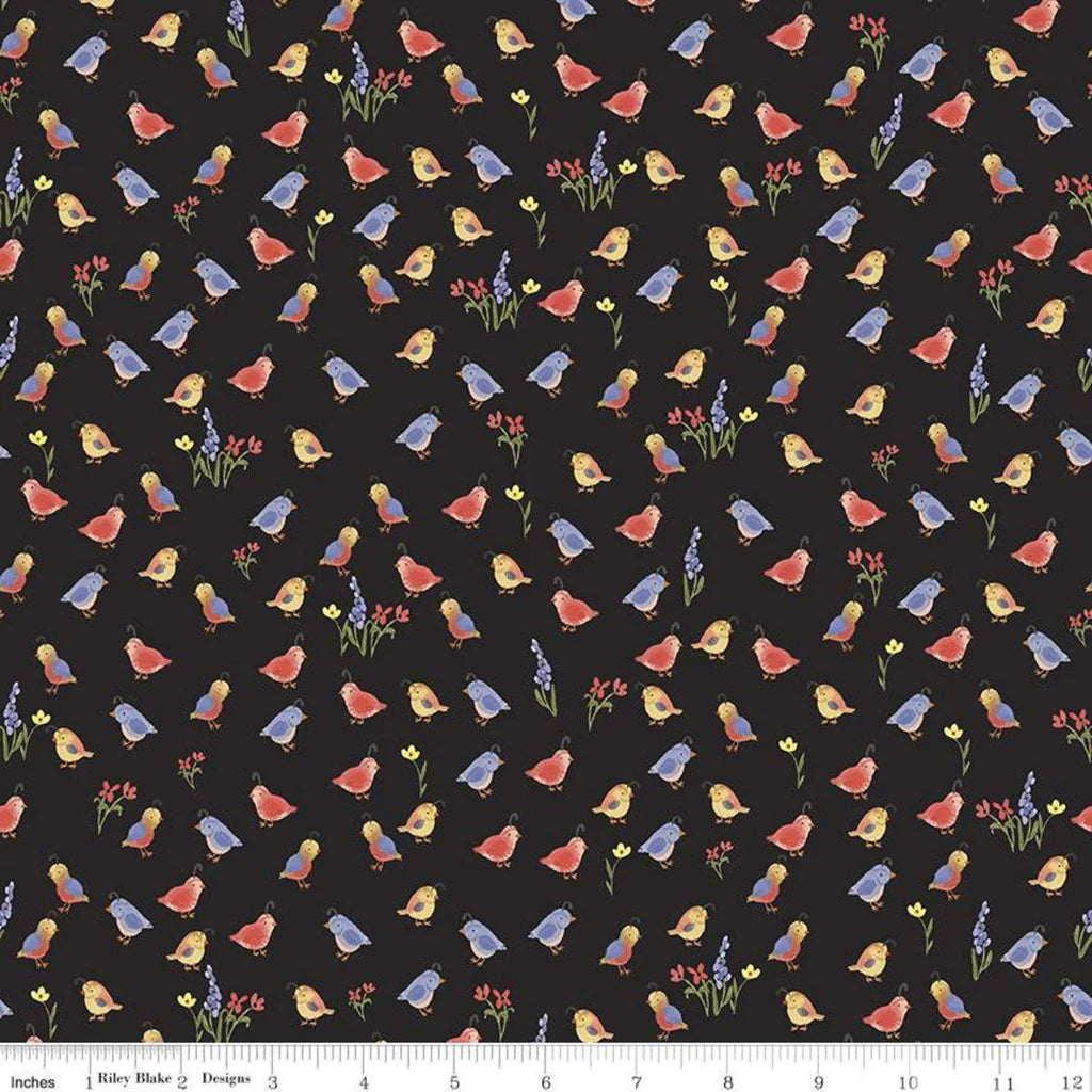 BEAUTIFUL DAY "Quail Black" by Echo Park Paper Company for Riley Blake