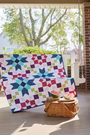 Barn Star Sampler Softcover Book by Shelley Cavanna