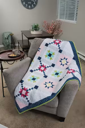 Barn Star Sampler Softcover Book by Shelley Cavanna
