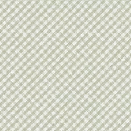 Gingham, Mini Menagerie Collection , Audrey Jeanne Roberts for P&B Textiles