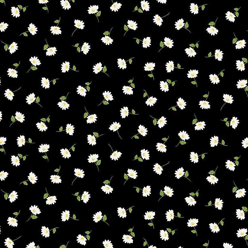 Timeless Treasures "Daisies on black" by Timeless Treasures Fabric of SoHo