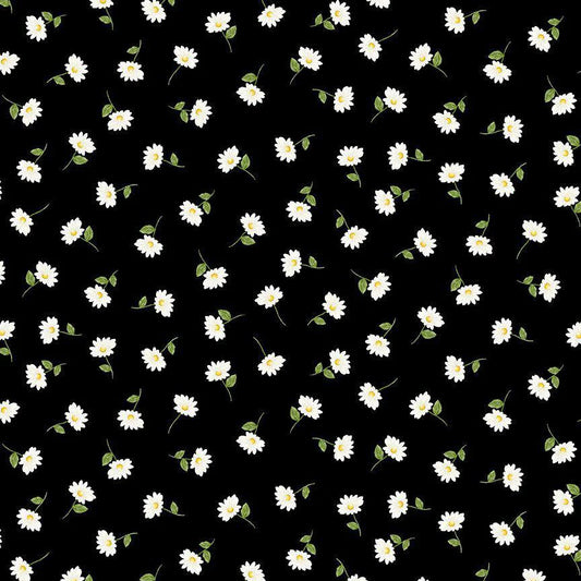 Timeless Treasures "Daisies on black" by Timeless Treasures Fabric of SoHo